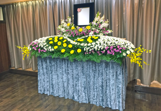 ならコープ組合員様プラン