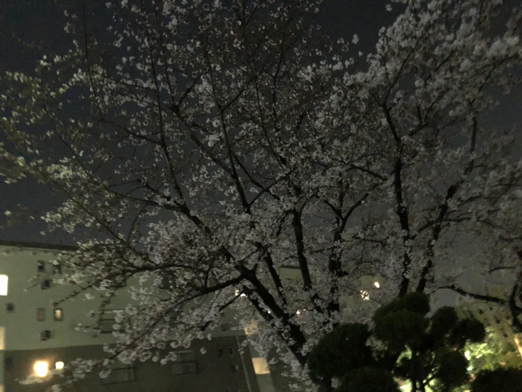 【枚方市 長尾メモリアルホール】お盆のご準備は、お早めに。