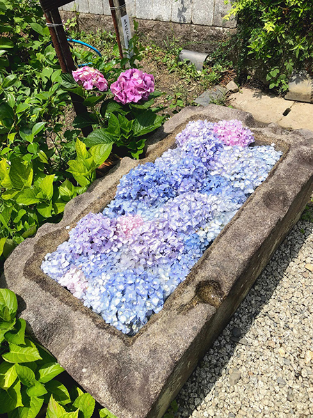 【奈良市学園前ホール】新生活